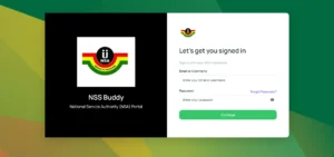 NSA Releases Pin Codes For 18,617 Nurses And Midwives For The 2026/27 Service Year NSA PIN codes 2026
