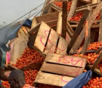 Tomato Traders Terrorist Attack Burkina Faso