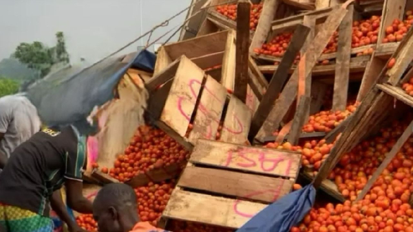 Tomato Traders Terrorist Attack Burkina Faso
